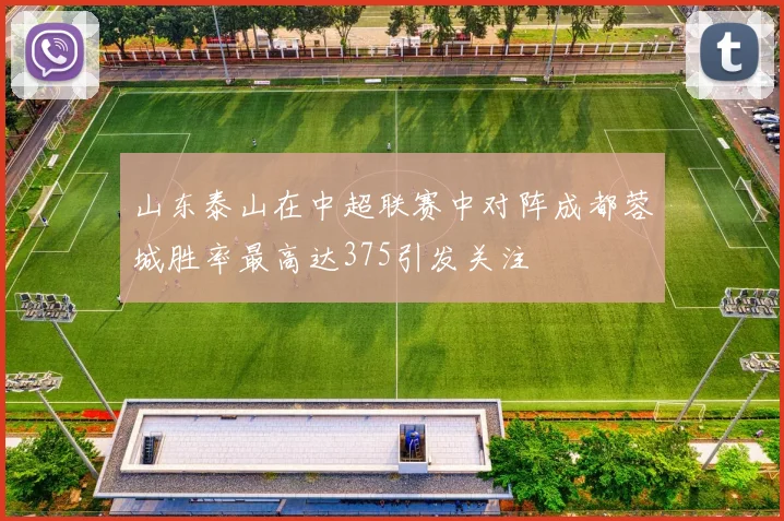 山东泰山在中超联赛中对阵成都蓉城胜率最高达375引发关注